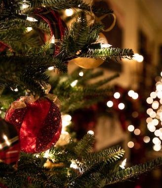 Elevate Your Christmas Decor With Hoselink Solar Lights